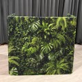 tropical adj 1 .jpg